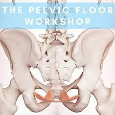 Pelvic Floor Worksop Zoom