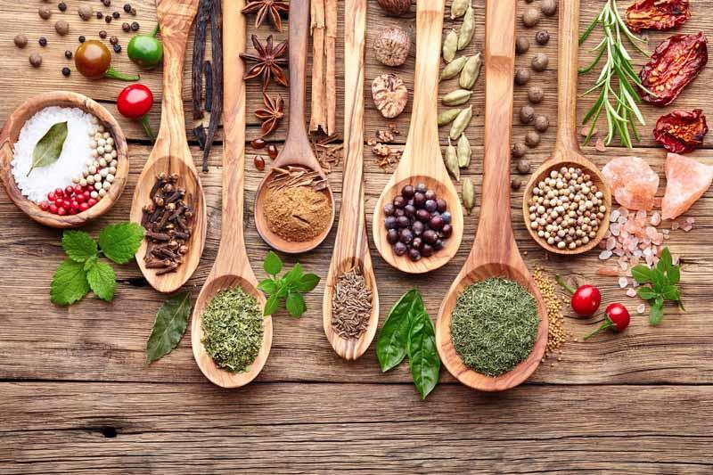 Herbal Wisdom Workshop (Virtual Member) -