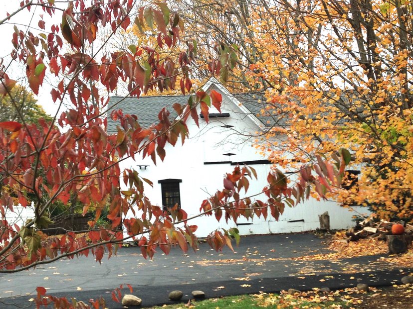 Evolve Fitness For Body and Soul