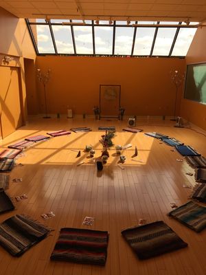 Updog Yoga Rochester