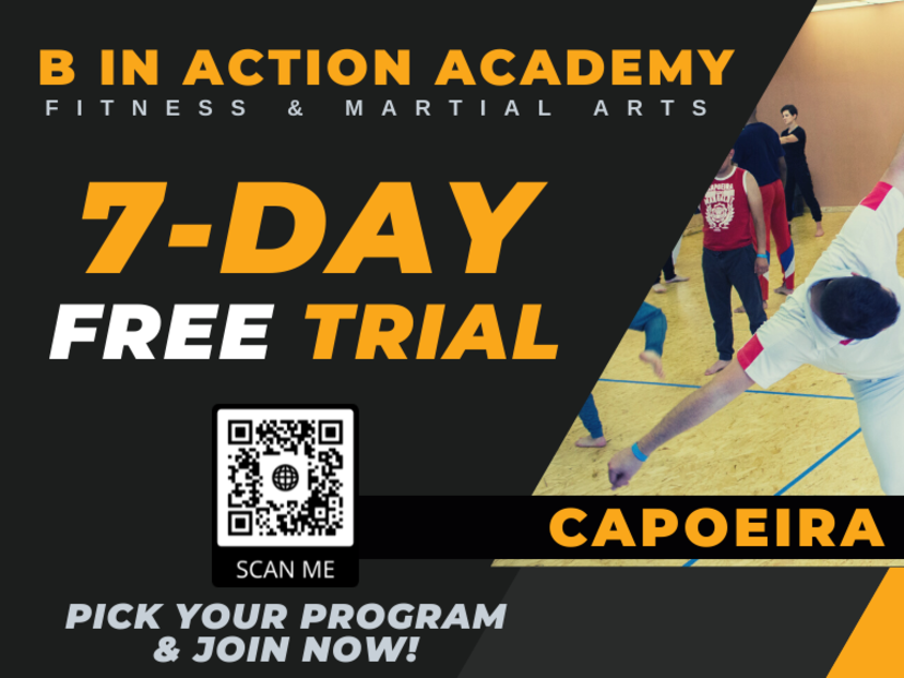 The Michigan Center for Capoeira