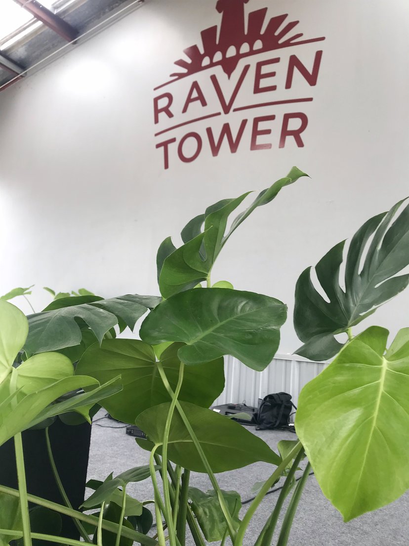 Black Swan Yoga - Houston