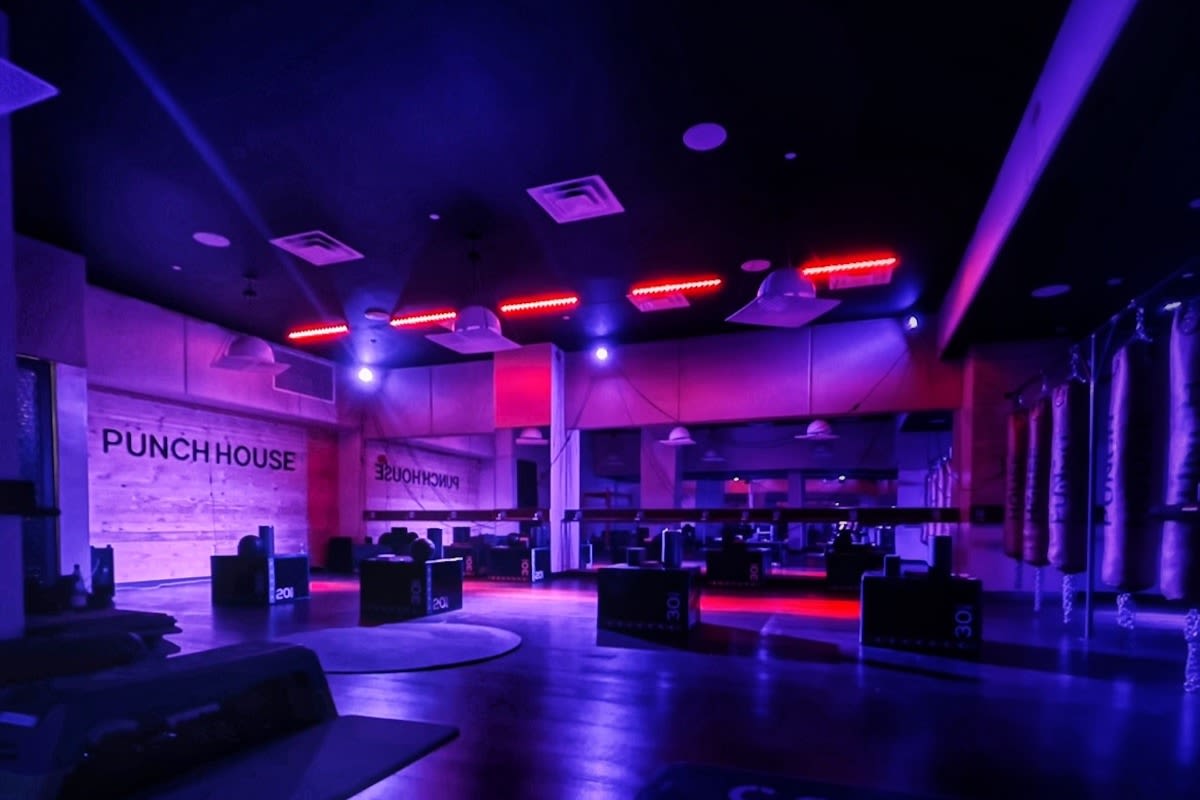 Punch House by Punch Pedal