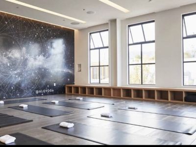 Alo Yoga - Pacific Palisades