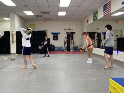 Global Martial Arts Vista