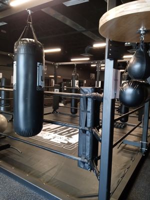 Jabz Boxing- Wiregrass, FL