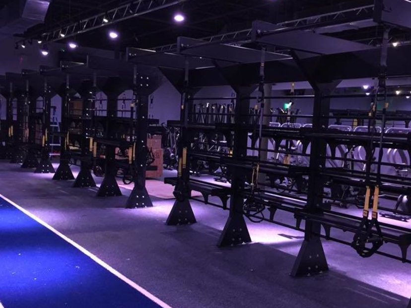 REGYMEN Fitness - Bluebonnet