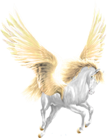 Pure Heart Collective