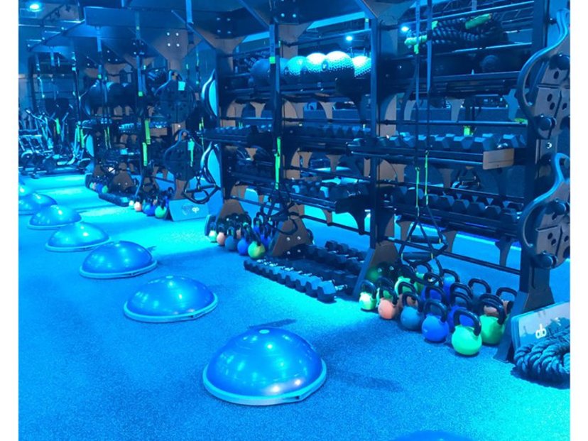 REGYMEN Fitness - Bluebonnet