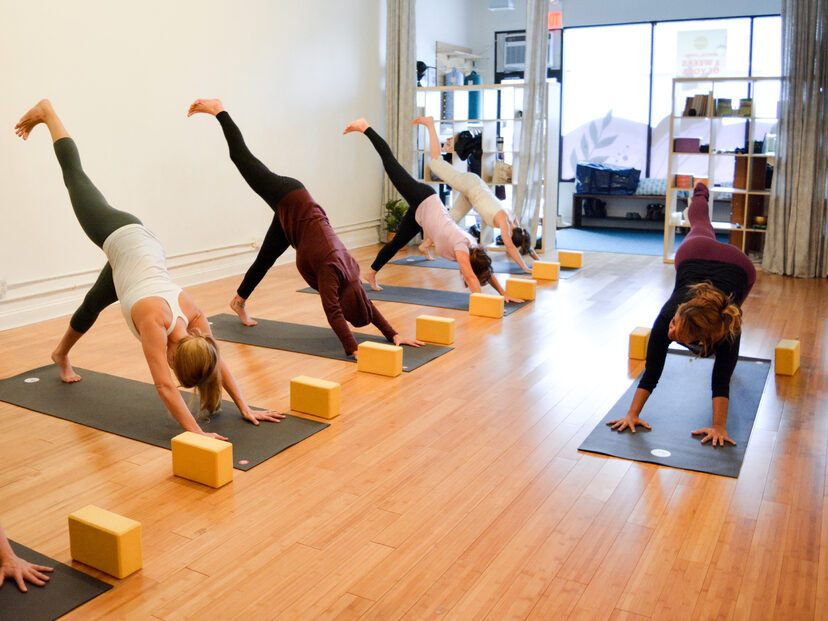 Ahimsa Yoga Studio - Berwyn