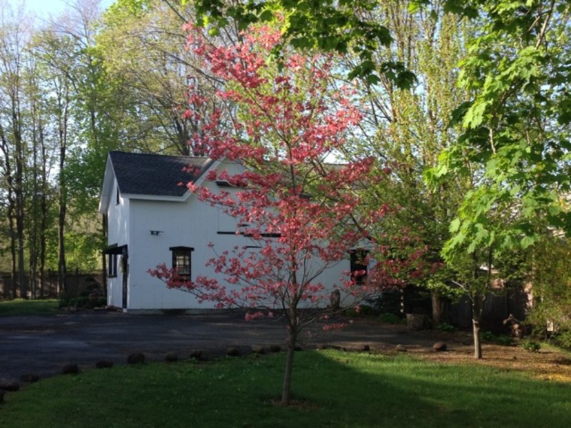 Evolve Fitness For Body and Soul