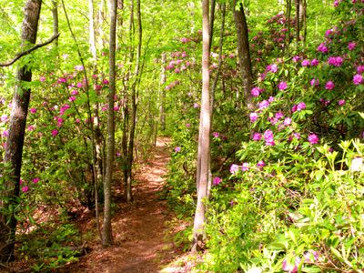Babcock Gristmill Grinder