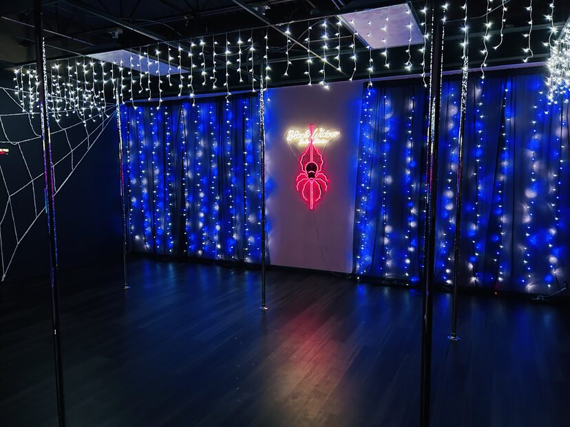 Black Widow Pole Studio
