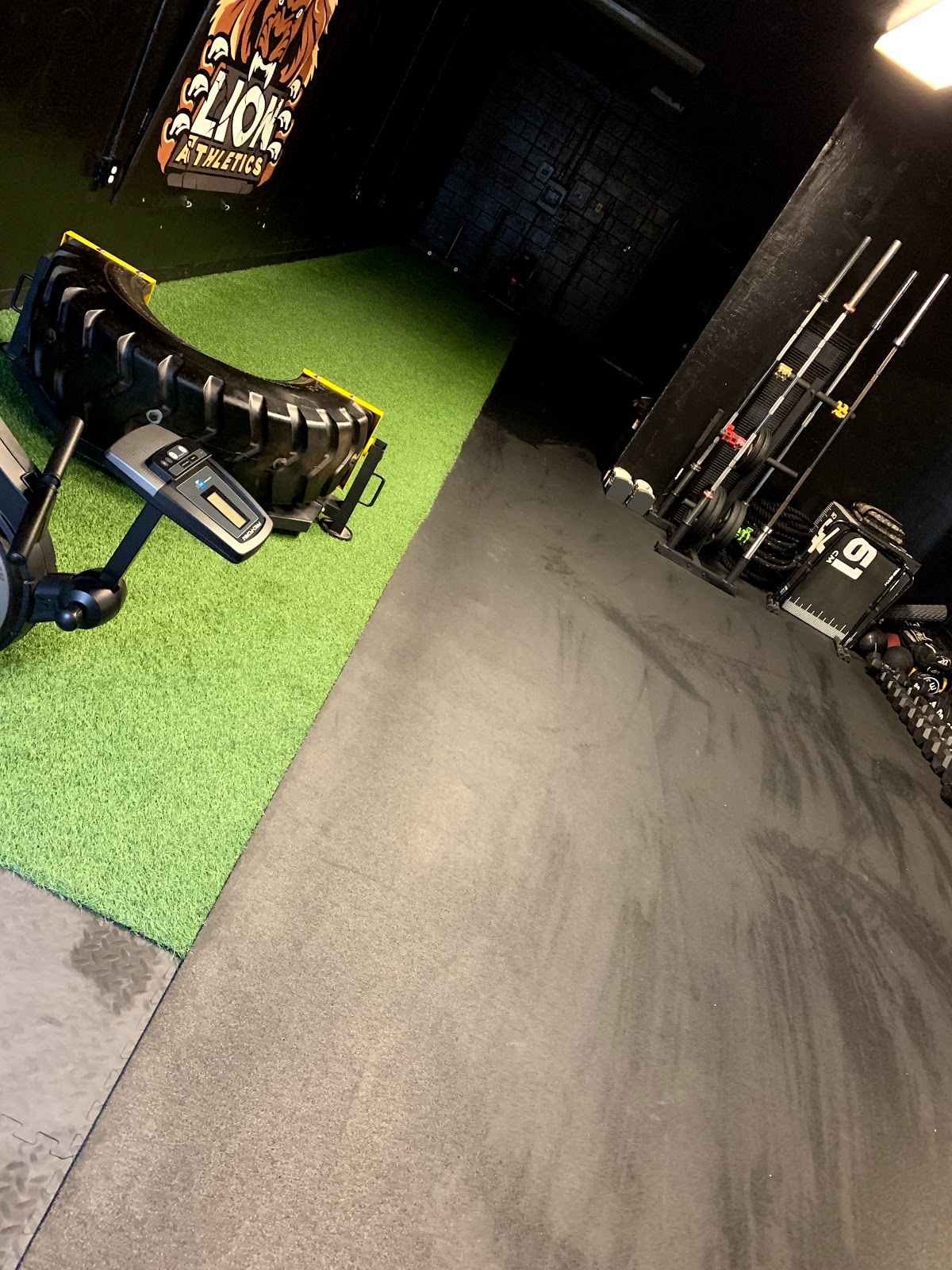 Lion Athletics Private Training Facility