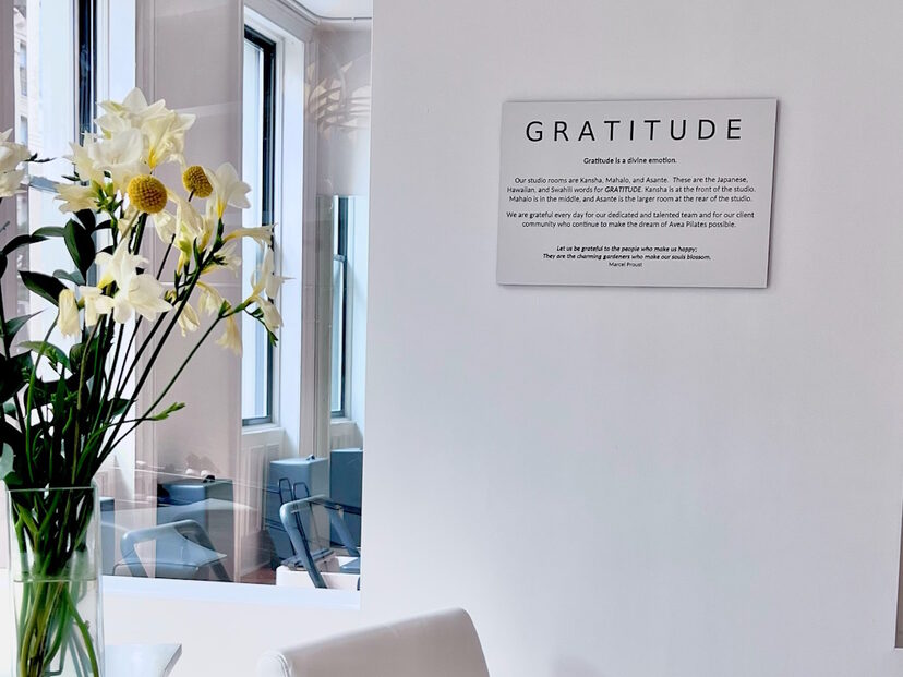 Avea Pilates West Village