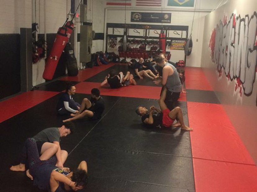 The Wrecking Ball Fight Facility