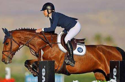 Equestrian Yoga/ Multi-Level