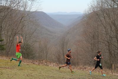 Babcock Gristmill Grinder