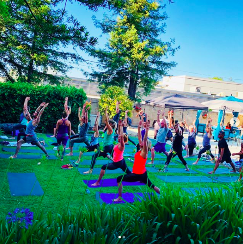 The Club at Los Gatos