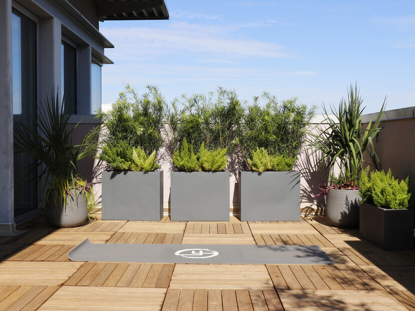 Longevity Fitness Charleston