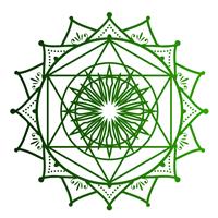 Soul Love Collective