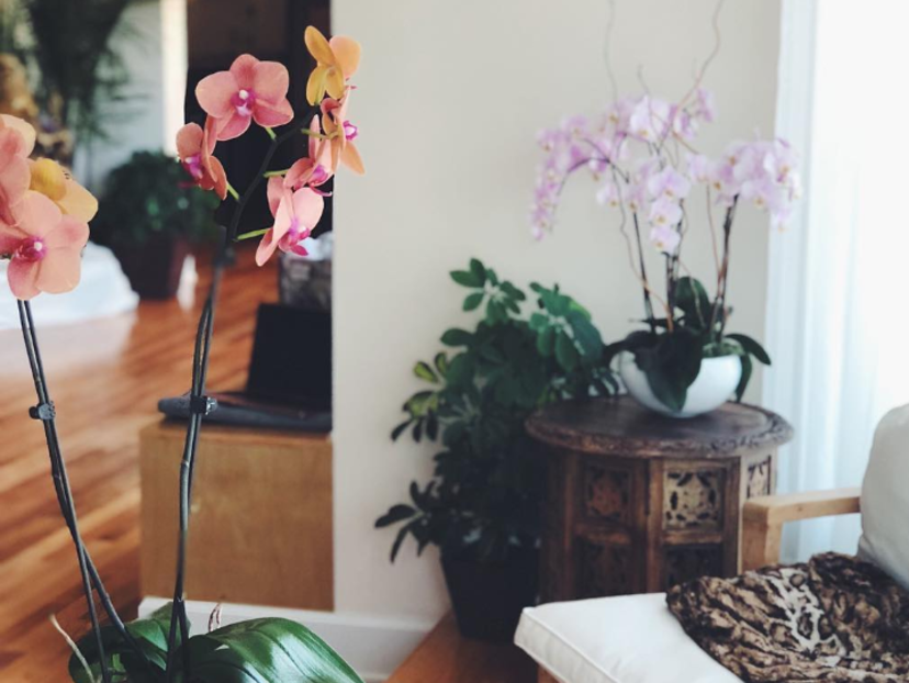 Vyana Yoga & PolariTea