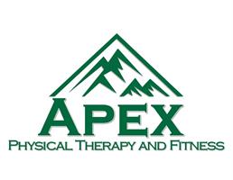 APEX PHYSICAL THERAPY FITNESS INC