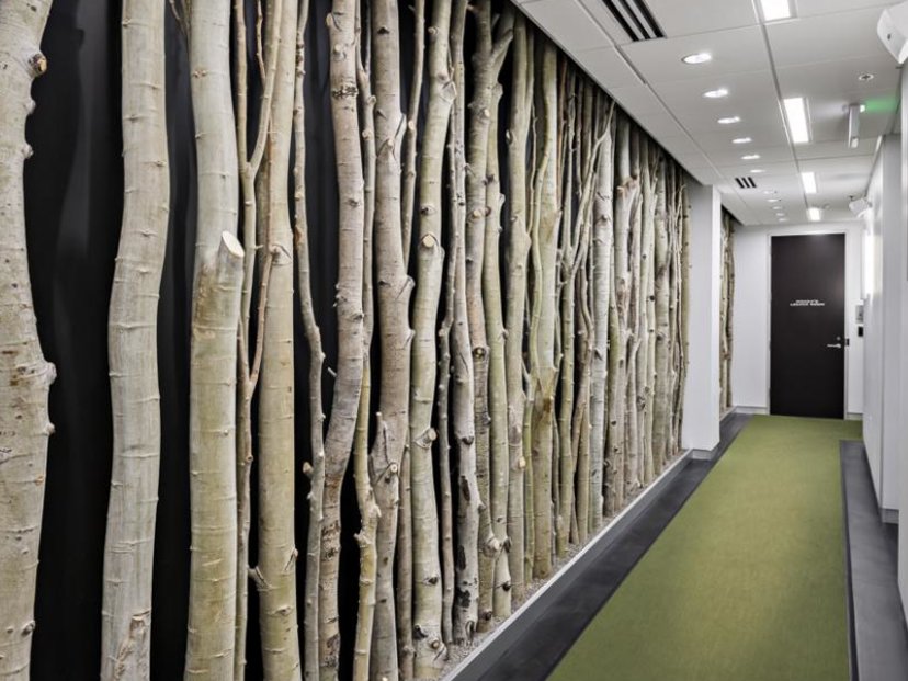 The Gym Eighth & Main