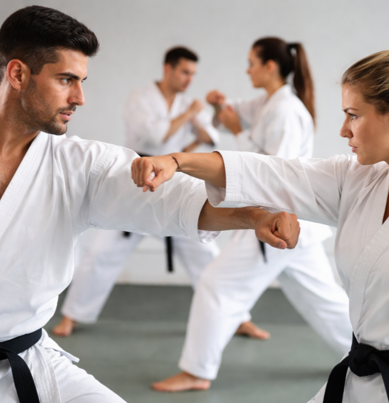 Adult Mixed-Level Kata & Kumite