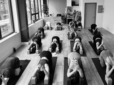Jivamukti Yoga Collective - New York
