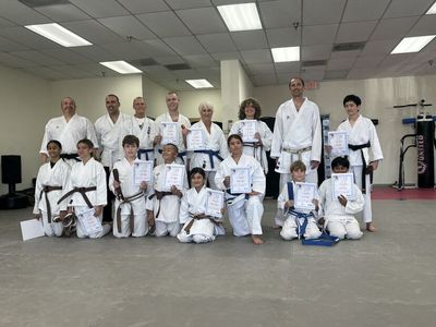 Global Martial Arts Vista