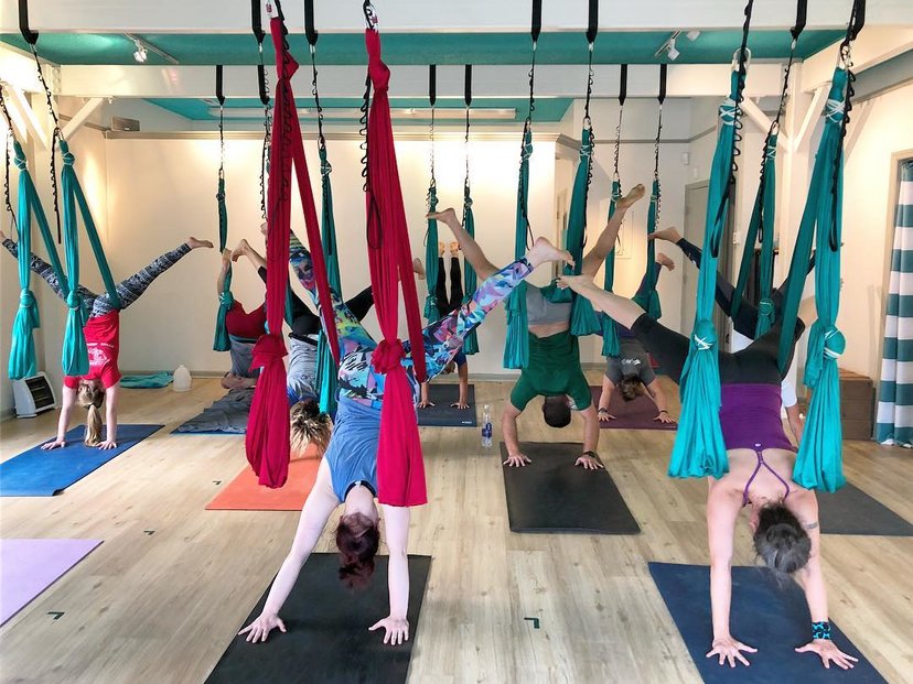 Dancing Dogs Yoga Greensboro